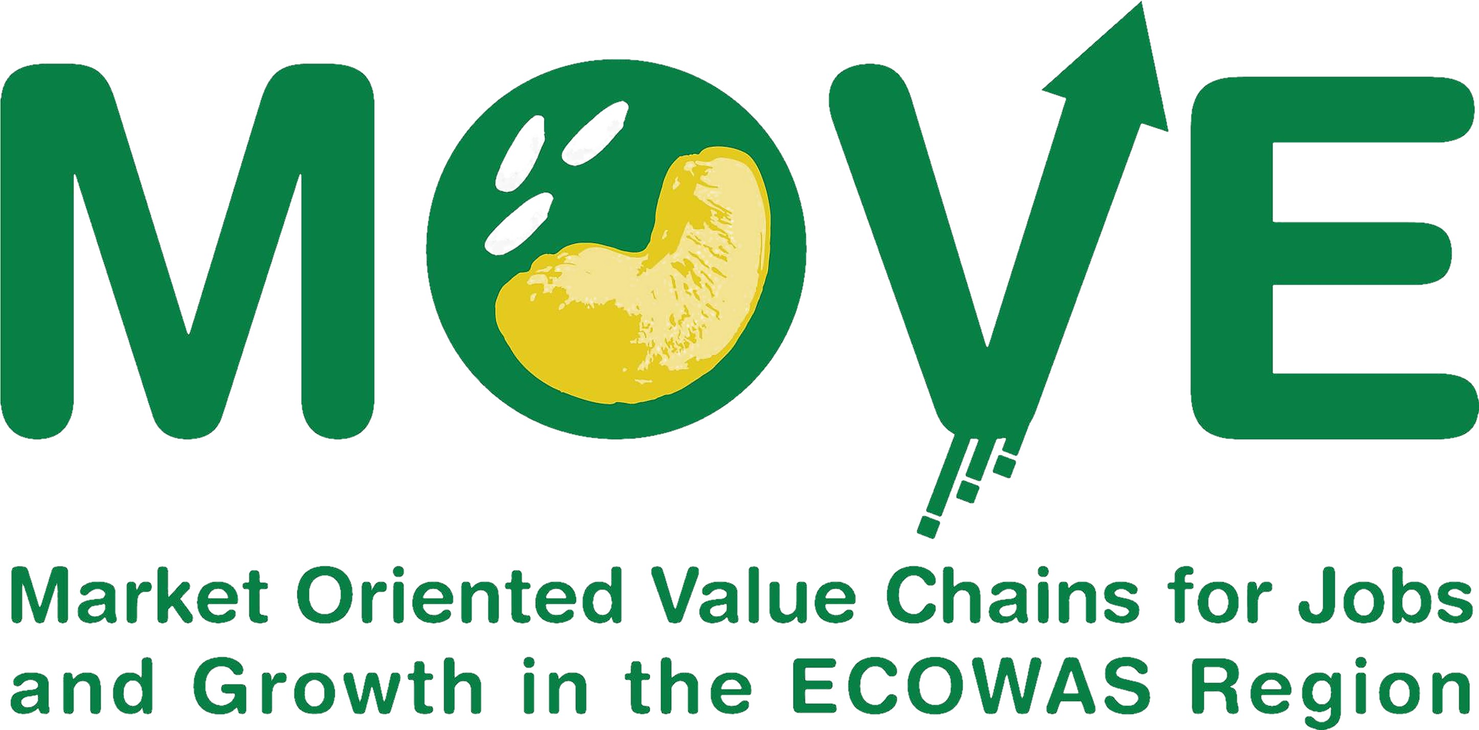 MOVE Logo