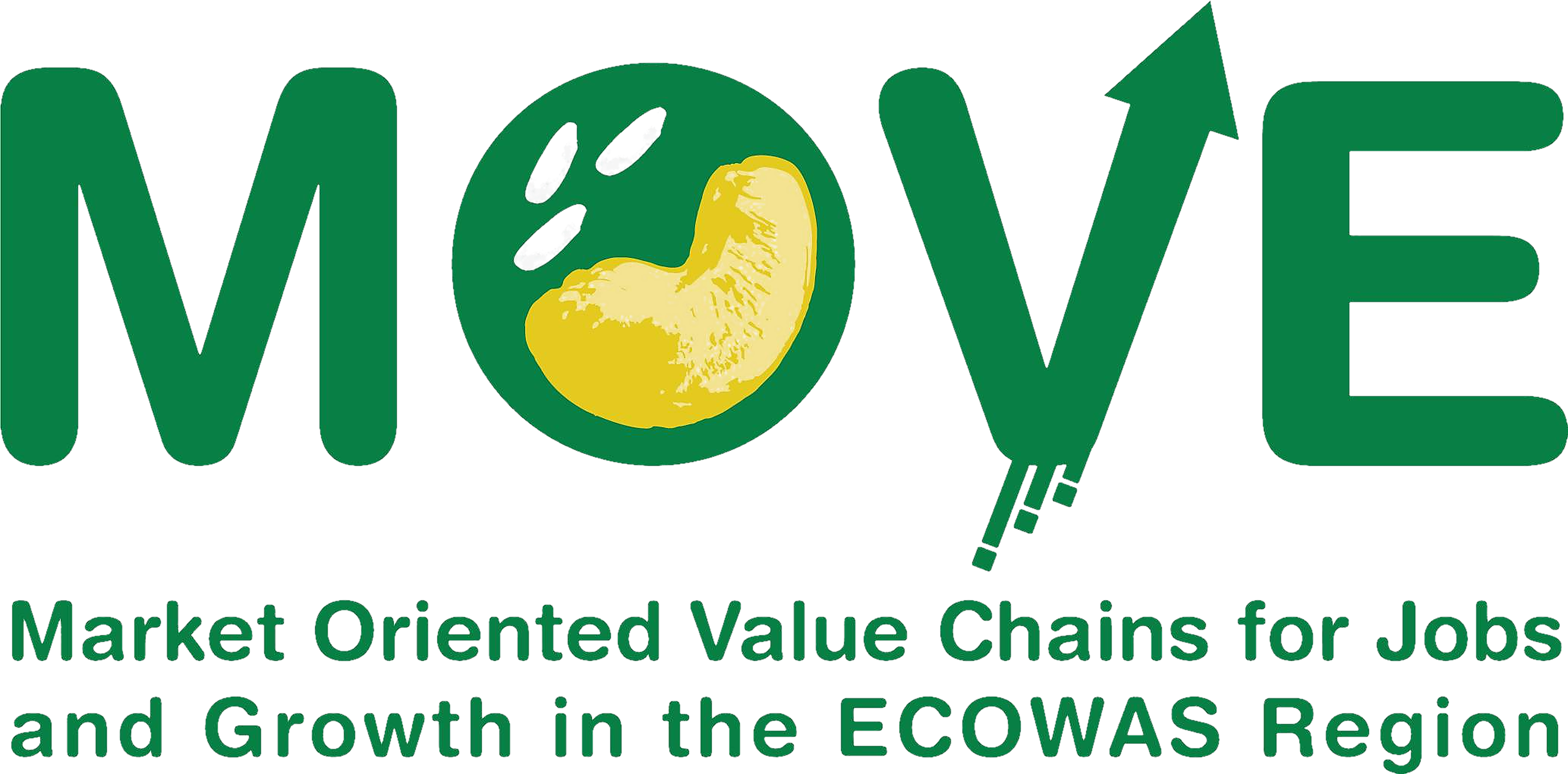 MOVE Logo